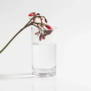 Vaso de Chupito Irrompible de 6CL de BASSOS, el fabricante de vasos irrompibles que triunfa en la fiesta