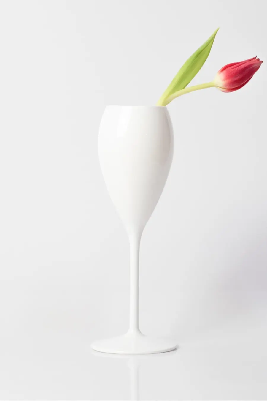 Copa Cava Irrompible 20CL fabricada por el fabricante de copas irrompibles BASSOS