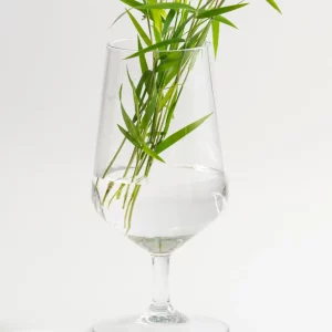 Copa Cerveza Irrompible de 40CL de BASSOS, el fabricante de copas irrompibles europeo