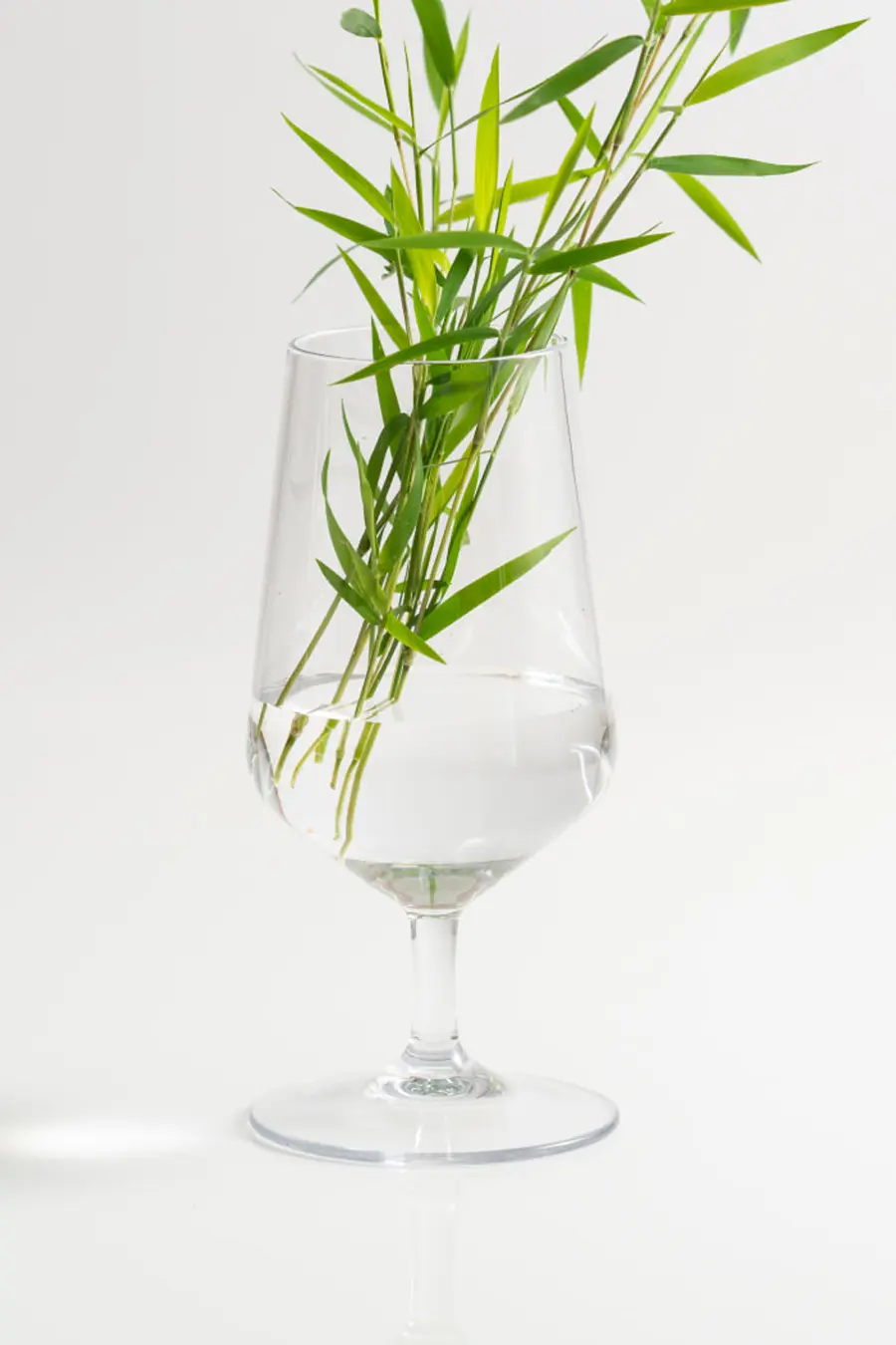 Copa Cerveza Irrompible de 40CL de BASSOS, el fabricante de copas irrompibles europeo