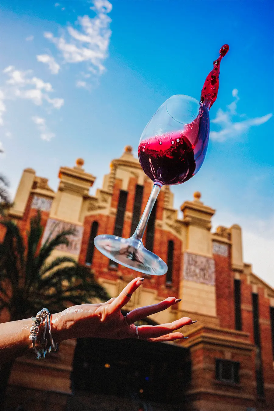 Copa de Vino Transparente Irrompible de BASSOS