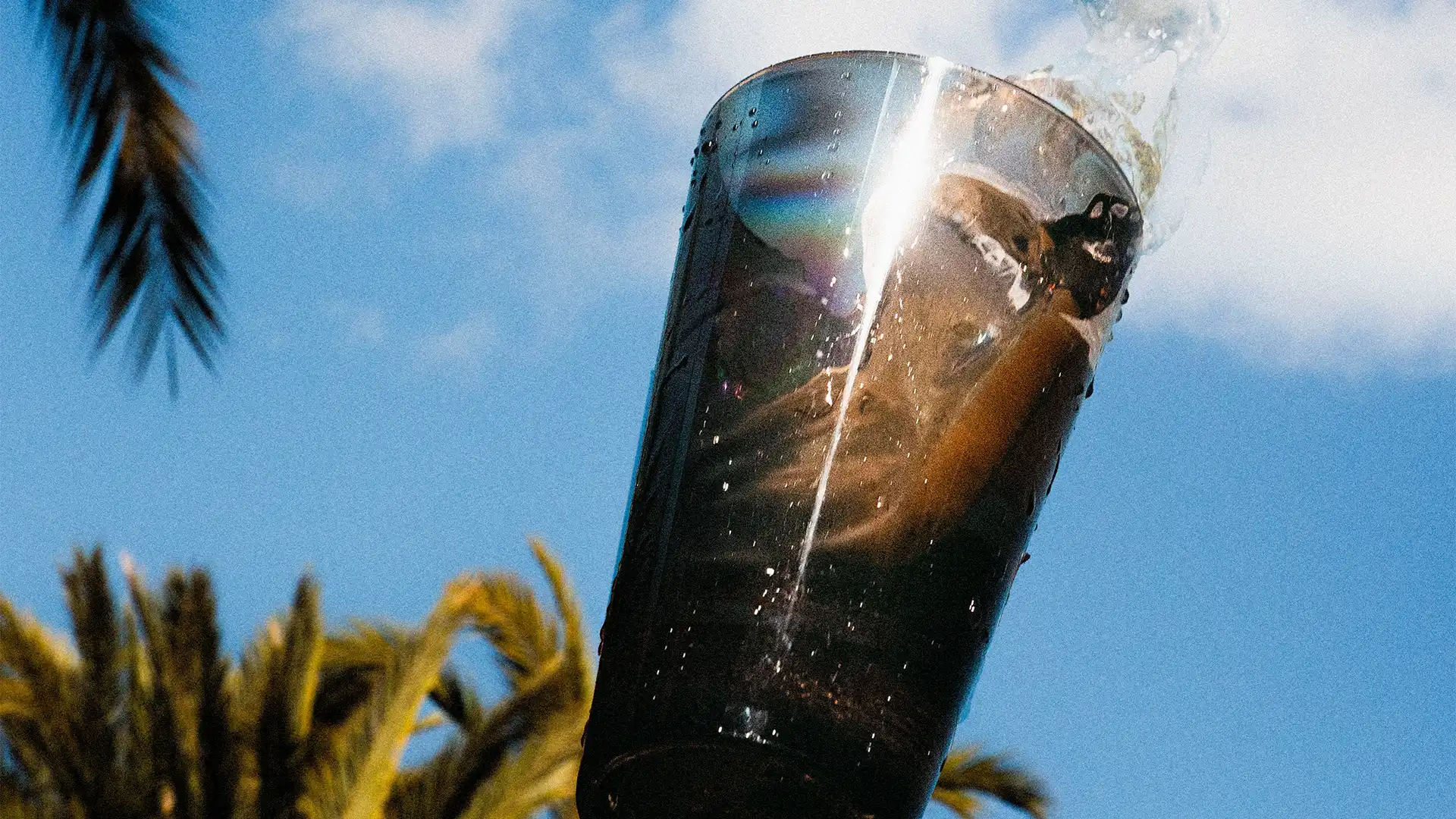 Vasos Irrompibles para Gin Tonic en Discotecas de Ibiza