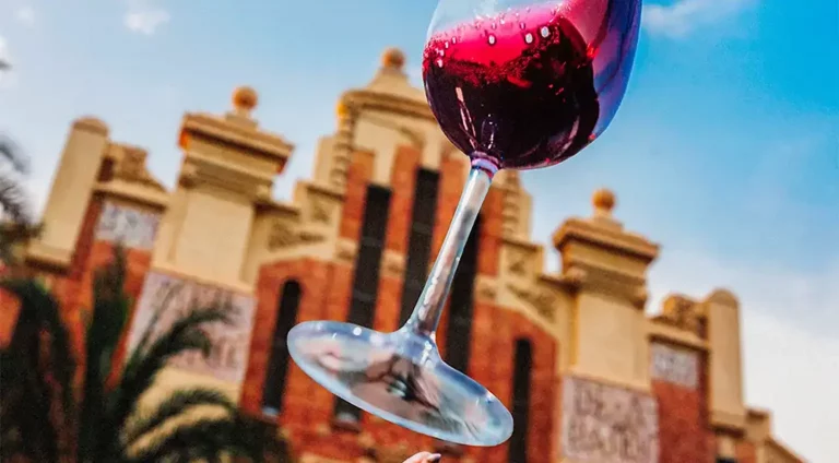 Las Mejores Copas para Vino están en BASSOS